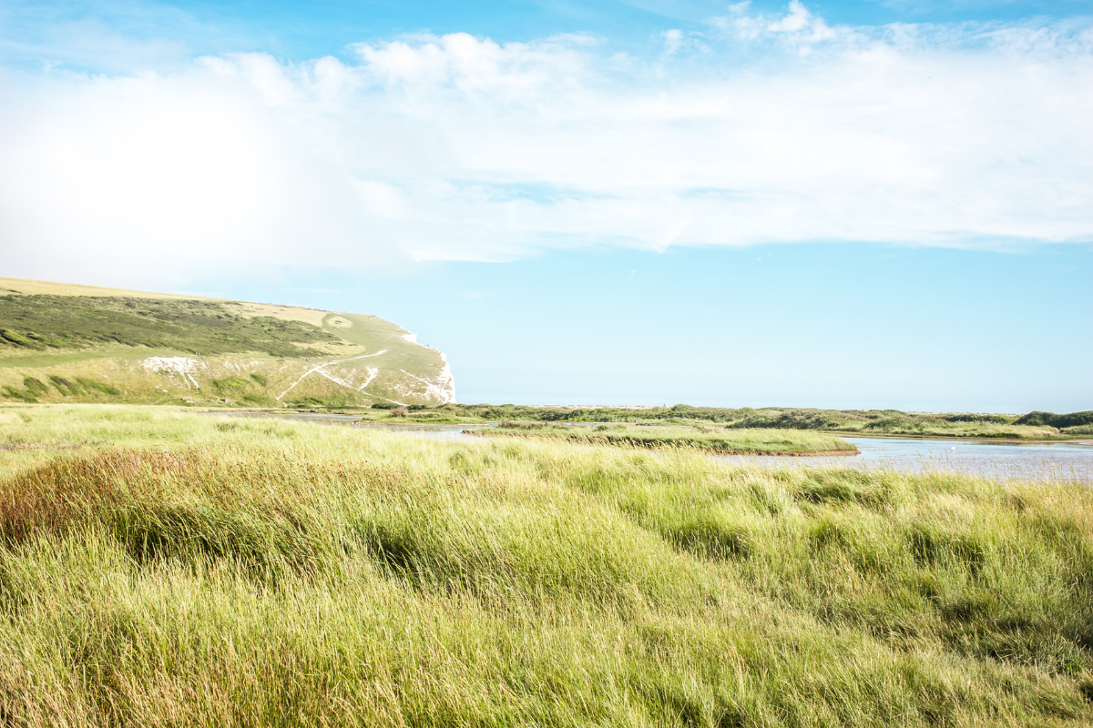 Seven Sisters Country Park.