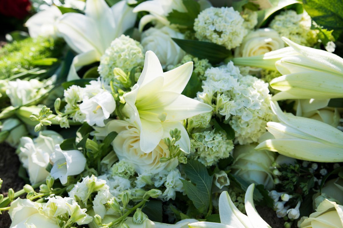 Funeral wakes Brighton